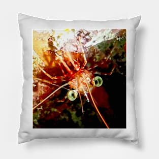 Red Night Shrimp Pillow