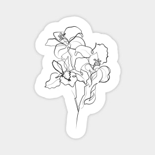 Lillies Single Line Drawing Magnet