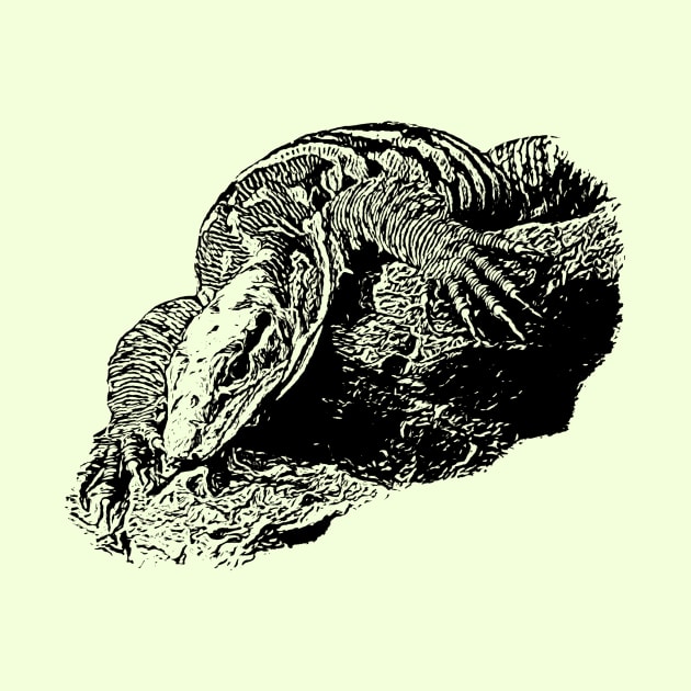 Varanus by Guardi