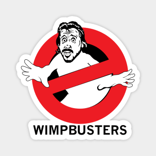 WIMPBUSTERS Magnet