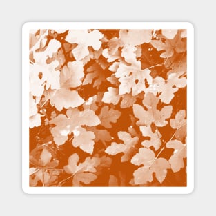 Fallen leaves, orange, pink, tan, fall, autumn, leaves, pattern, leaf, botanical, xmas, christmas, spring, holidays, summer, Magnet