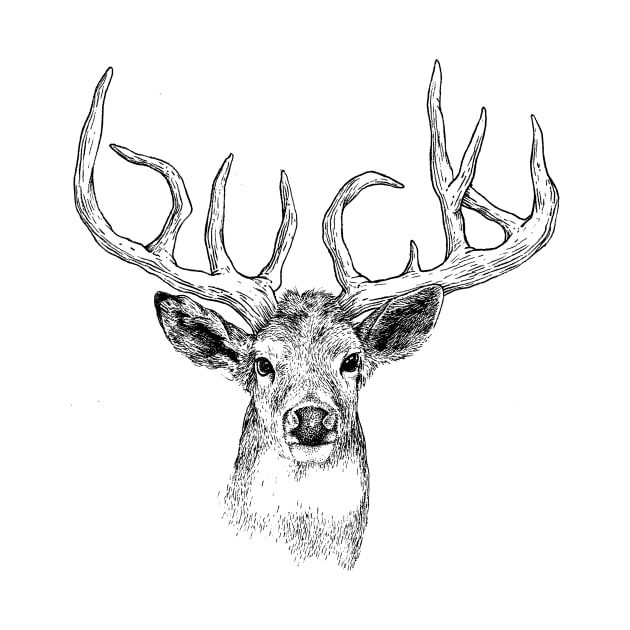 BUCK by evrentural