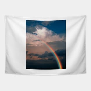 Rainbow (E135/0072) Tapestry