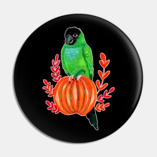 Cute Halloween Nanday Conure Parrot on Autumn Pumpkin Pin