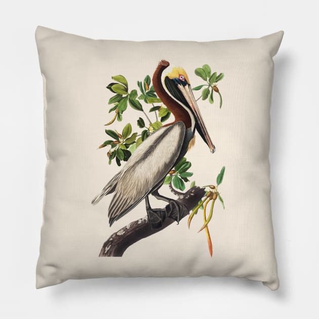 Brown Pelican by Audubon Pillow by RockettGraph1cs