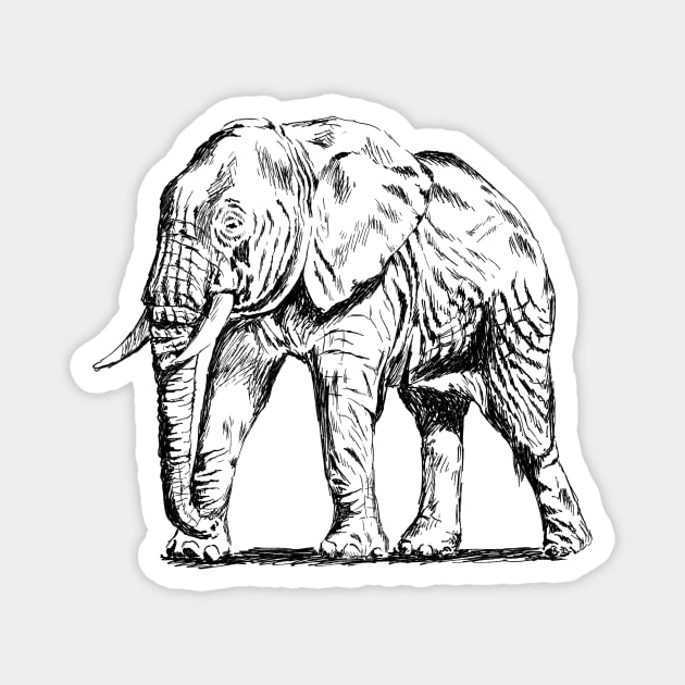 Elephant Print Magnet by rachelsfinelines