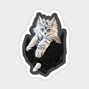 LYNX in your pocket (kitten) Magnet