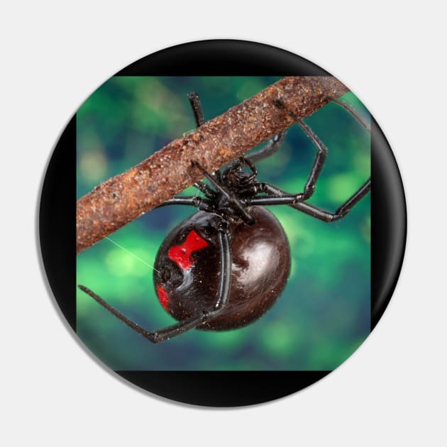 Black Widow Pin by Rosettemusicandguitar