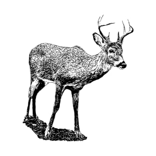 Virginia deer T-Shirt