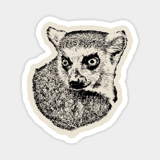 Lemur Magnet