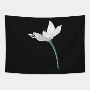 White Flower on Black Tapestry