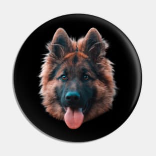 German shepherd picture Pin