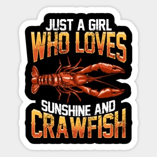 Crawfish Tank Top for Women Summer Shirts Funny Shirt for Summer Clothes  Southern Louisiana T Shirt Crayfish and Beer Tee Shirt Fish Fry Tee 