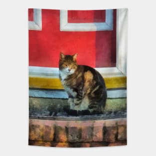 Cats - Tabby Cat by Red Door Tapestry