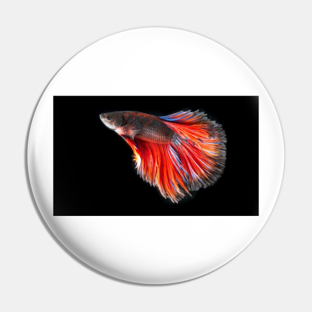 Aquarium Fish Guppy Pin by kawaii_shop