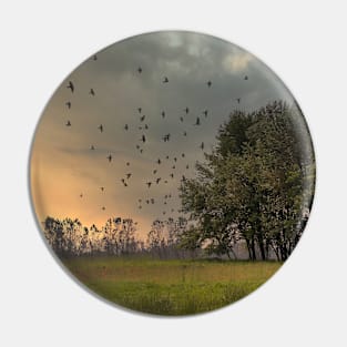 Nature sunrise with birds in flight Pin