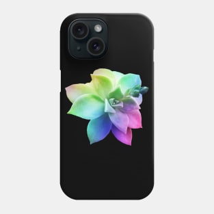 rainbow succulent juicy plant botanical nature Phone Case