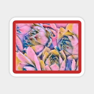 Pastel purple pink house-leek flowers Magnet