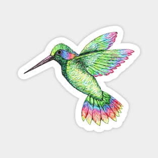 Hummingbird Magnet