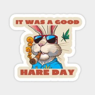 It was a good hare day Magnet