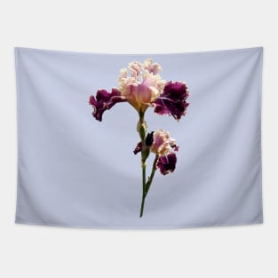 Maroon and Pink Irises Tapestry