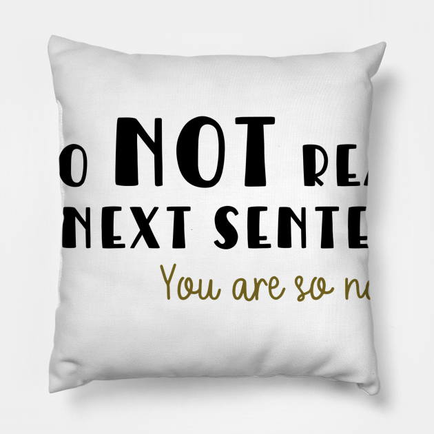 Do Not Read The Next Sentence You Are So Naughty Funny Pillow
