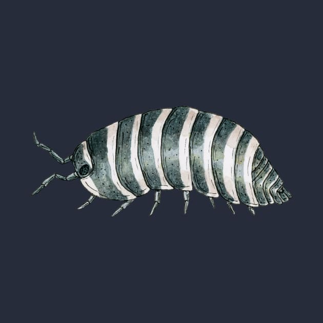 Armadillidium maculatum- Zebra Isopod by paintedpansy