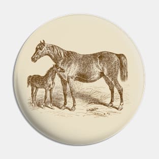 Arabian Horse Mare and Foal Vintage Illustration Pin