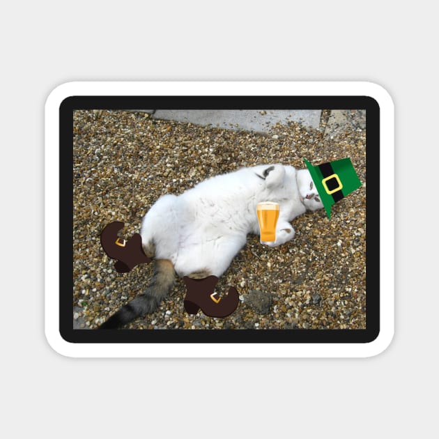 St Patricks Cat (I`ll be the judge of that!) Magnet by Ladymoose