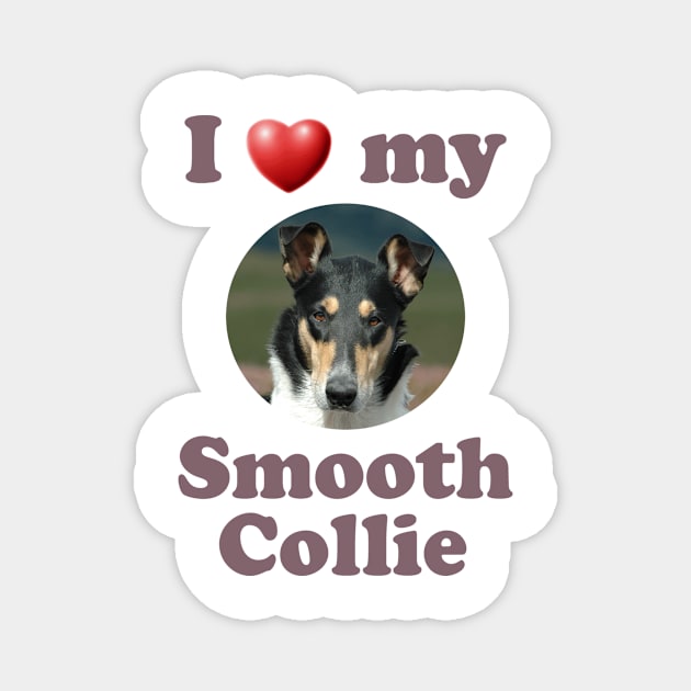 I Love My Smooth Collie Magnet by Naves