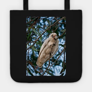 Corella 1 Tote