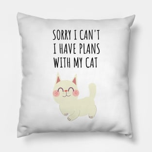 Sorry I can't I have plans with my cat Pillow