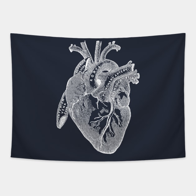 Antique Medical illustration of Human Heart Tapestry by Pixelchicken