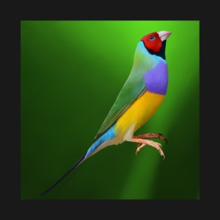 The beautiful Gouldian Finch or Rainbow Finch. Australian bird, bird lovers gift T-Shirt