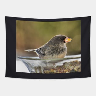 Seeds to Savour No.2 - Dark-Eyed Junco Tapestry