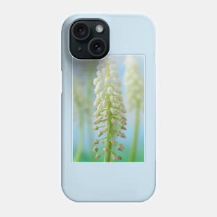 Muscari armeniacum  &#39;Argaei Album&#39;  Grape hyacinth Phone Case