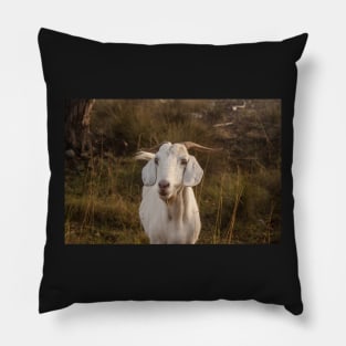 Nanny Goat Pillow