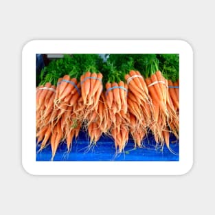 Bunches of Carrots in Santa Barbara Magnet