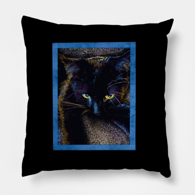 Beautiful black Cat Pillow by TAP4242