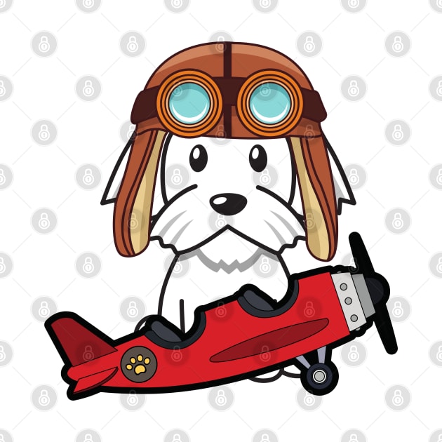 Cute white dog is in a vintage airplane by Pet Station