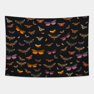 moths and butterflies Tapestry