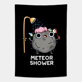 Meteor Shower Astronomy Tapestry
