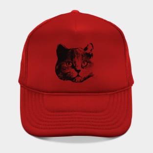 British Longhair gift for British Longhair Cat Owners Hat