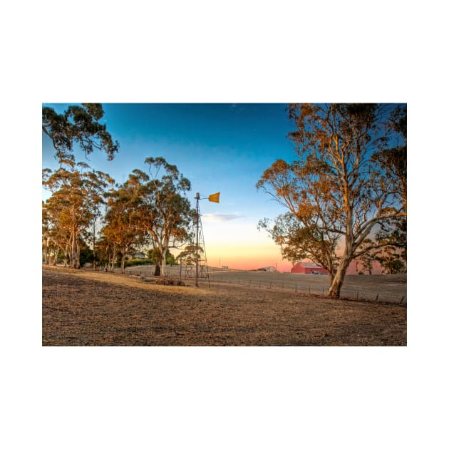 On The Farm - Nairne, South Australia by Mark Richards