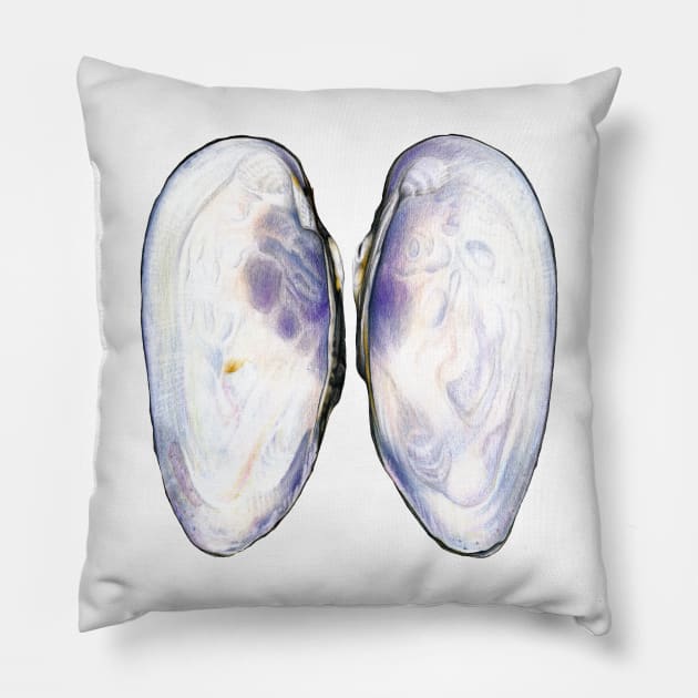 Thick Shelled River Mussel (Unio crassus) Pillow by illucalliart
