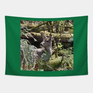 Deer, Wildlife, Black-tailed deer, Nature, Gifts Tapestry