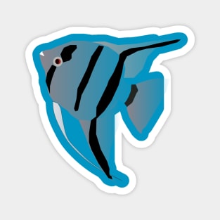 a grey angelfish Magnet