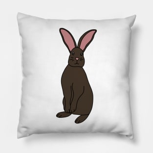 Brown Rabbit Pillow