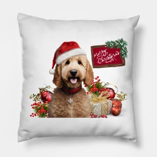 Have a Very Merry Doodle Christmas! Pillow