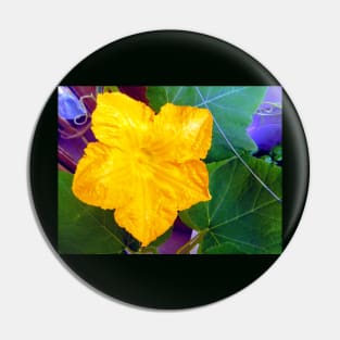 Pumpkin Blossom Pin